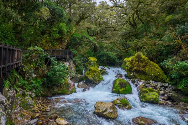 Chute Lac Marian Dans Parc National Fiordland Milford Sound Nouvelle — Photo