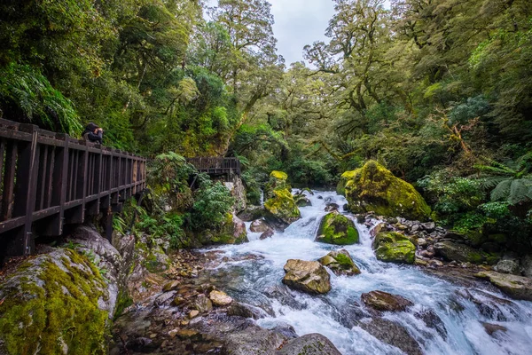 Lago Marian Caída Situada Parque Nacional Fiordland Milford Sonido Nueva — Foto de Stock