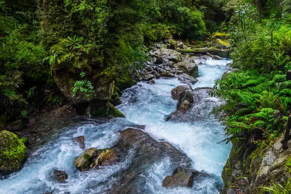 stock image Lake Marian fall located in the Fiordland National Park, Milford sound, New Zealand