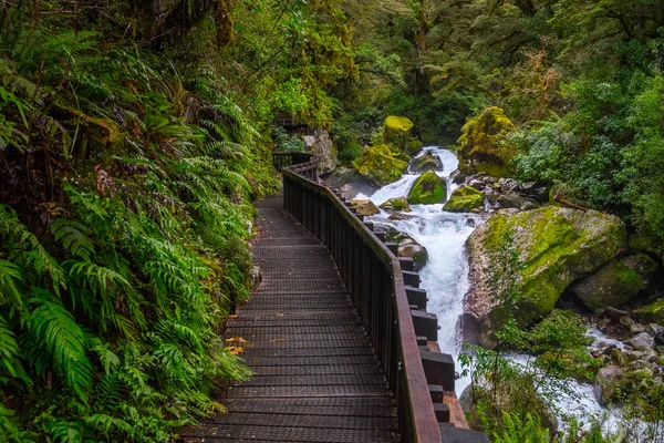 Fiordland Milli Parkı, Milford ses, Yeni Zelanda yer Gölü Marian Güz