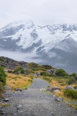 Fahişe Vadisi parça, bir en popüler yürüyen Aoraki/Mt Cook Milli Parkı, Yeni Zelanda'da