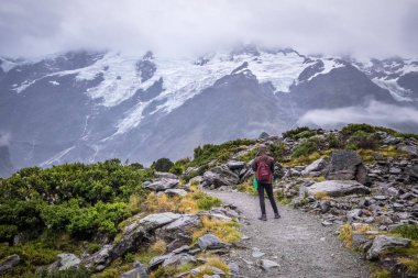 Fahişe Vadisi parça, bir en popüler yürüyen Aoraki/Mt Cook Milli Parkı, Yeni Zelanda'da