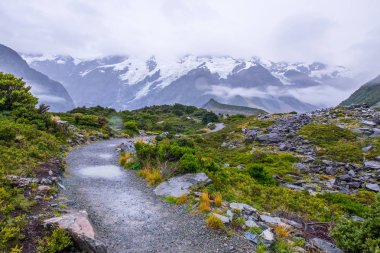 Fahişe Vadisi parça, bir en popüler yürüyen Aoraki/Mt Cook Milli Parkı, Yeni Zelanda'da