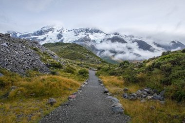 Fahişe Vadisi parça, bir en popüler yürüyen Aoraki/Mt Cook Milli Parkı, Yeni Zelanda'da