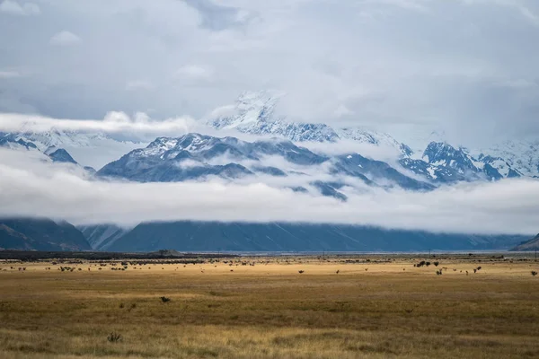 Mt.Cook/Aoraki Milli Parkı, Yeni Zelanda manzara