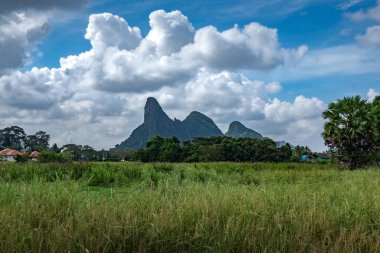 Tayland Güney alanındaki pirinç alan manzara. Ülkenin ana tarım pirincimiz.