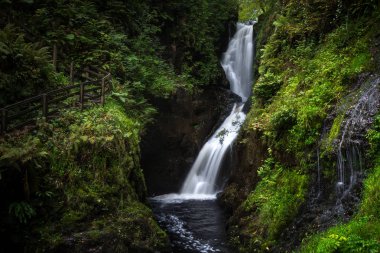 Şelale iz Glenariff Forest Park yakınındaki Causeway kıyı yolu, ülke Antrim, Kuzey İrlanda.