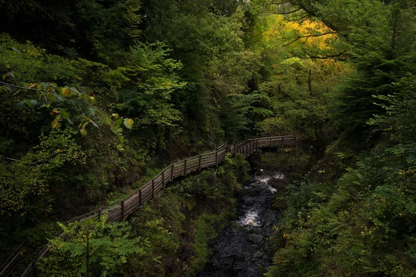 Şelale iz Glenariff Forest Park yakınındaki Causeway kıyı yolu, ülke Antrim, Kuzey İrlanda.