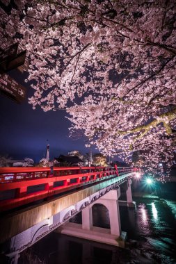 Nakabashi Köprüsü, Takayama, en tanınmış simgesel yapı kiraz çiçeği tam çiçeklenme sezon, Japonya gece manzara