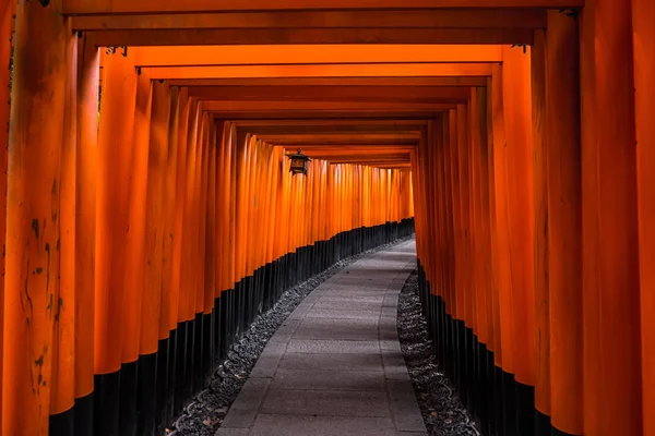 Sendero Pie Conduce Través Túnel Puertas Torii Santuario Inari Fushimi — Foto de Stock