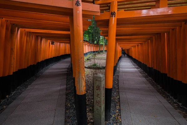 Sendero Pie Conduce Través Túnel Puertas Torii Santuario Inari Fushimi — Foto de Stock