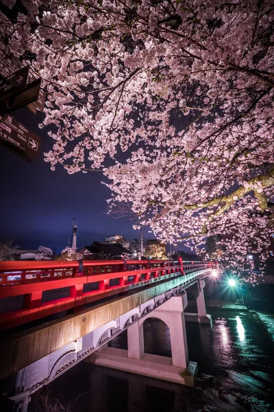Nakabashi Köprüsü, Takayama, en tanınmış simgesel yapı kiraz çiçeği tam çiçeklenme sezon, Japonya gece manzara