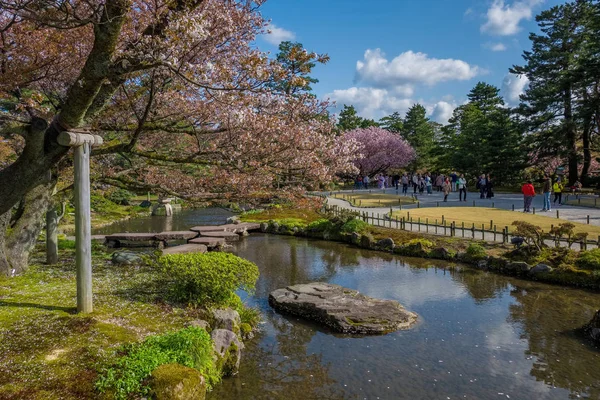 Flor Completa Cerezo Kenrokuen Garden Uno Los Tres Jardines Paisajísticos —  Fotos de Stock