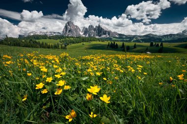 Alpe di Siusi / Seiser Alm, Dolomitler, İtalya çevresindeki manzara