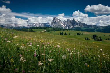 Alpe di Siusi / Seiser Alm, Dolomitler, İtalya çevresindeki manzara