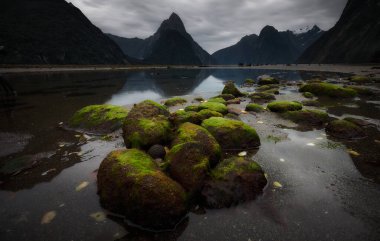 Milford Sound, Yeni Zelanda Manzarası