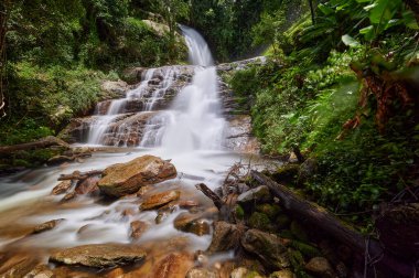 Huai Sai Luang Şelalesi, Doi Inthanon Ulusal Parkı, Chiangmai, Tayland