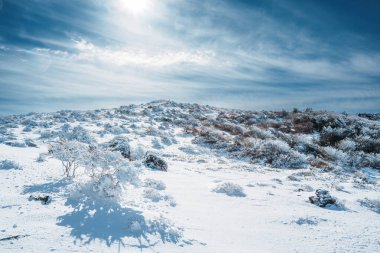 Eorimok Patikası, Hallasan 'da buzla kaplı çalılar ve parlak güneşin altında alçak çalılar. Dramatik gökyüzü ve dağ yamacıyla el değmemiş kar tarlası.