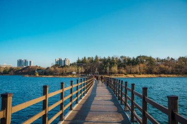 Sokcho 'daki Yeongrang Gölü' nü aşan ve kışın ağaçlarının ve yeşeren yemliklerin arasından geçen korkuluklu kaldırımlar..