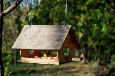 kuş besleyici bir ağaç dalı ekmek besleyiciler güneş güneş ışığı ile yakın çekim yeşil yaprakları ile askıya alındı.