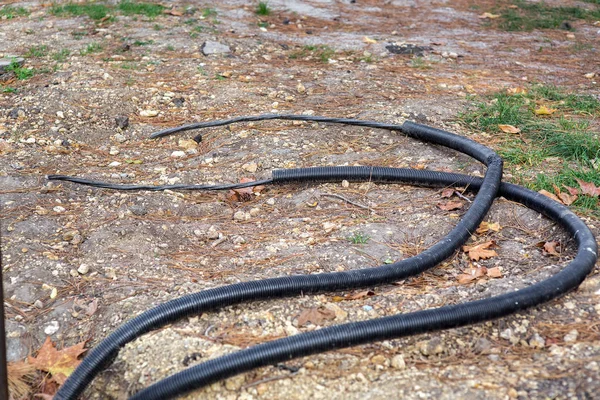 two power cables in insulation and protective corrugated jackets lie on the ground.