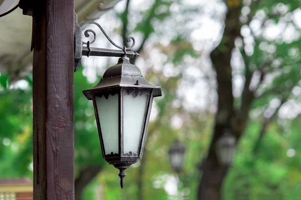 Iron Street Lamp Glass Insert Wooden Post Background Trees Green — Stock Photo, Image