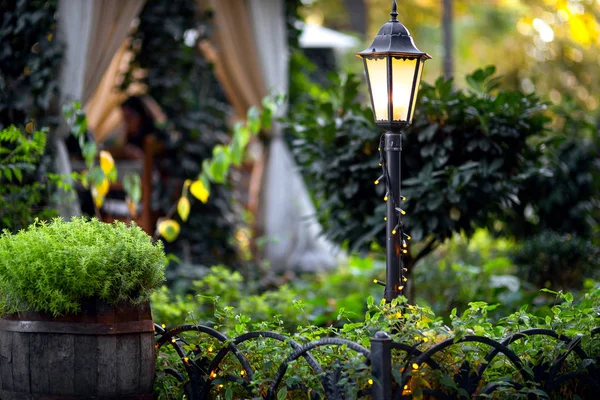 Garden with green plants and a decorative lantern with a garland behind an iron fence, decorative decoration of the exterior of the backyard.