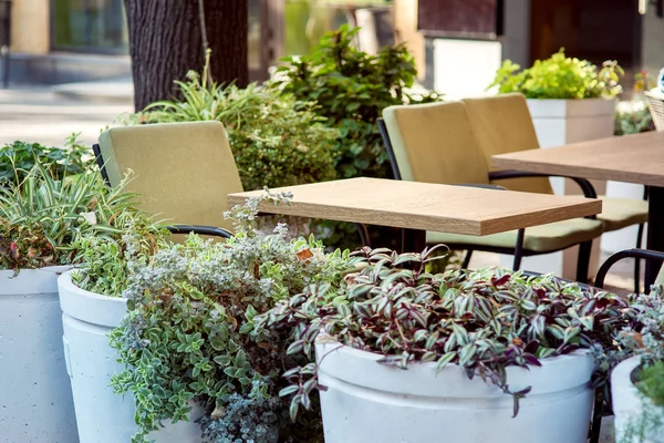 Empty square tables of an outdoor cafe with chairs with soft seats and round concrete flowerpots with flowers in front of the restaurant.