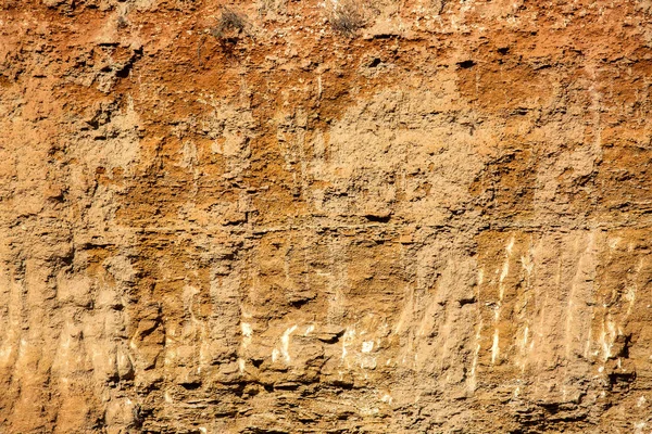 Consistenza Della Roccia Guscio Pietra Primo Piano — Foto Stock