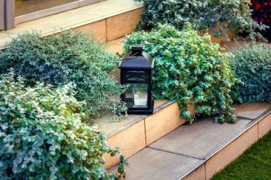 Adımları arasında saksıları içinde bir mum ile dekoratif retro fener.