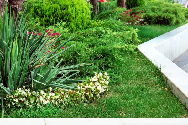 Landscape Design Greenery Flower Beds Framed White Marble — Stock Photo, Image