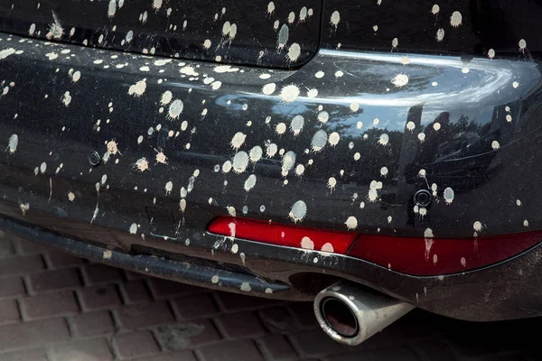 汚れた車スプラッシュ汚れ汚れのクローズ アップ — ストック写真