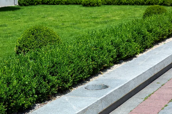 Bordillo Piedra Largo Del Pavimento Peatonal Con Una Cerca Verde —  Fotos de Stock