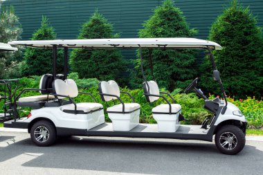 Beyaz elektrikli otomobil nakliye için-yolcu herdem yeşil ve Mazı (bitki), beyaz koltuklar ile boş araba ve güneş ışığı bir gölgelik bir çiçek yatak arka plan üzerinde golf Club.