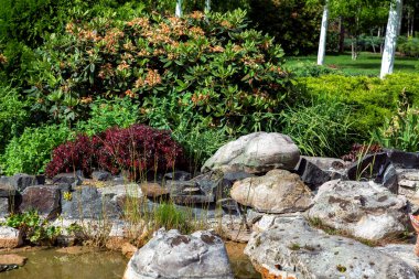 Peyzaj tasarımı Japon gölet yapılmış taş ve yeşil bitkiler, yakın çekim.