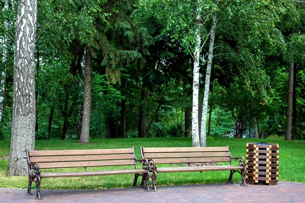 Bancs Avec Des Jambes Forgées Fer Des Sièges Bois Avec — Photo