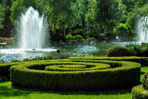 Sebe Boxwood Forma Uma Espiral Fundo Uma Lagoa Com Uma — Fotografia de Stock