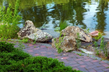 parke döşeme patika dekoratif havuzun sahile yeşil çalılar ile peyzaj taş ve su ile yakın kırmızı.