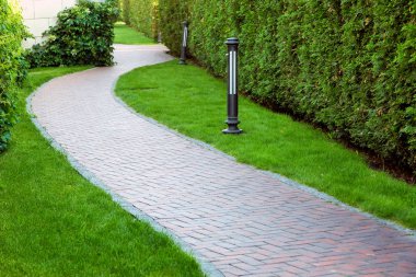 patika boyunca çim ve hedge bush mazı bahçedeki üzerinden.