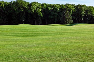 bir golf sahası ile dalgalı bir çayır ve ağaçlar içinde belgili tanımlık geçmiş peyzaj.