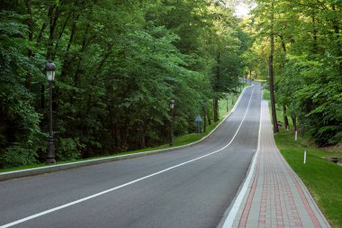 Şerit işaretler aşağı ve perspektif bir dönüş, fayans ve fenerler Yaya kaldırım ile orman yolu ile olan yol asfalt.
