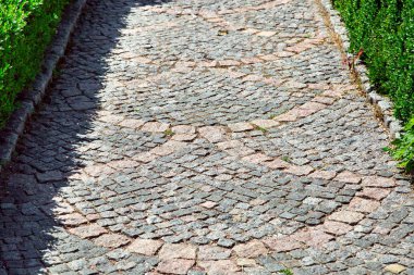 Bir desen ile taş döşeli Patika kadar yakın ve yeşil çalılar şimşir tarafından çevrili.