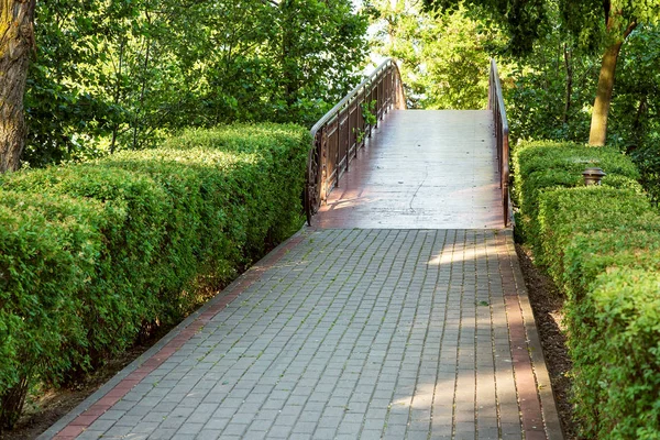 Pavement Walkway Leading Iron Bridge Railings Park Area Hedges Green — 图库照片