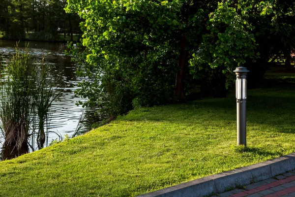 meadow with lawn and trees on the shore of the lake with reeds lit by the evening sunlight, a park with a lantern and a curb.