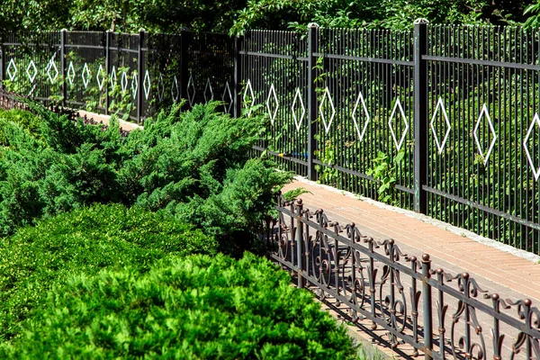 在阳光明媚的日子里 用铁栅栏围起来的步行道 有绿色植物 — 图库照片
