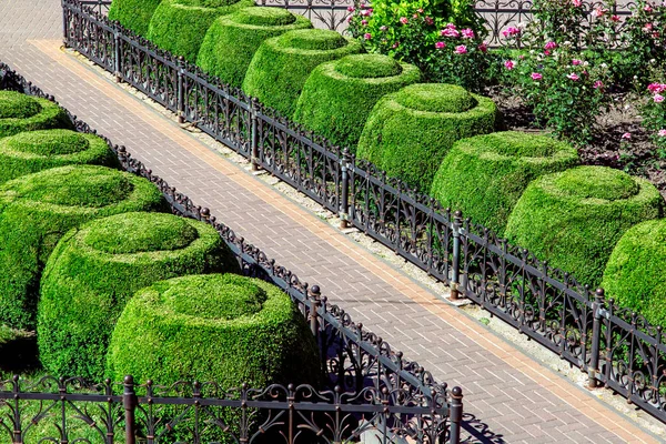 Пішохідна Доріжка Тротуарної Плитки Чорного Залізного Паркану Квітковим Дерев Яним — стокове фото