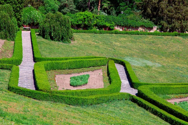 stone walkway with hedge view from above on a maze of evergreen bushes with a glade of green grass.