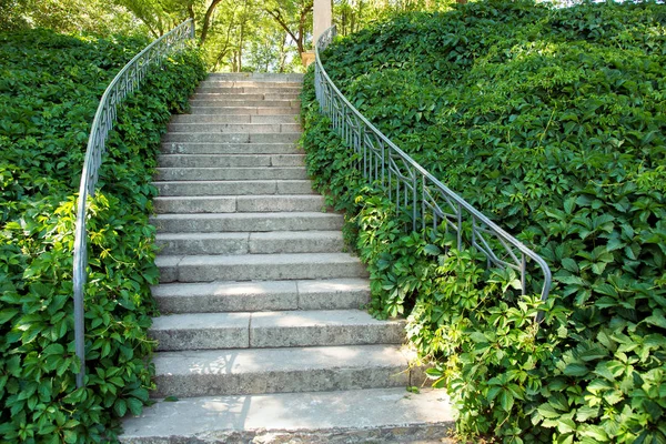 stone staircase in the park climb up with iron railings and green climbing plants around the climb.