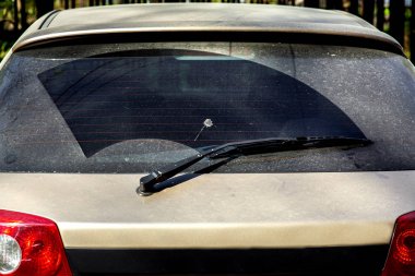 kuş dışkıları tozlu bir cam arka cam hatchback kirli araba arka görünümü.