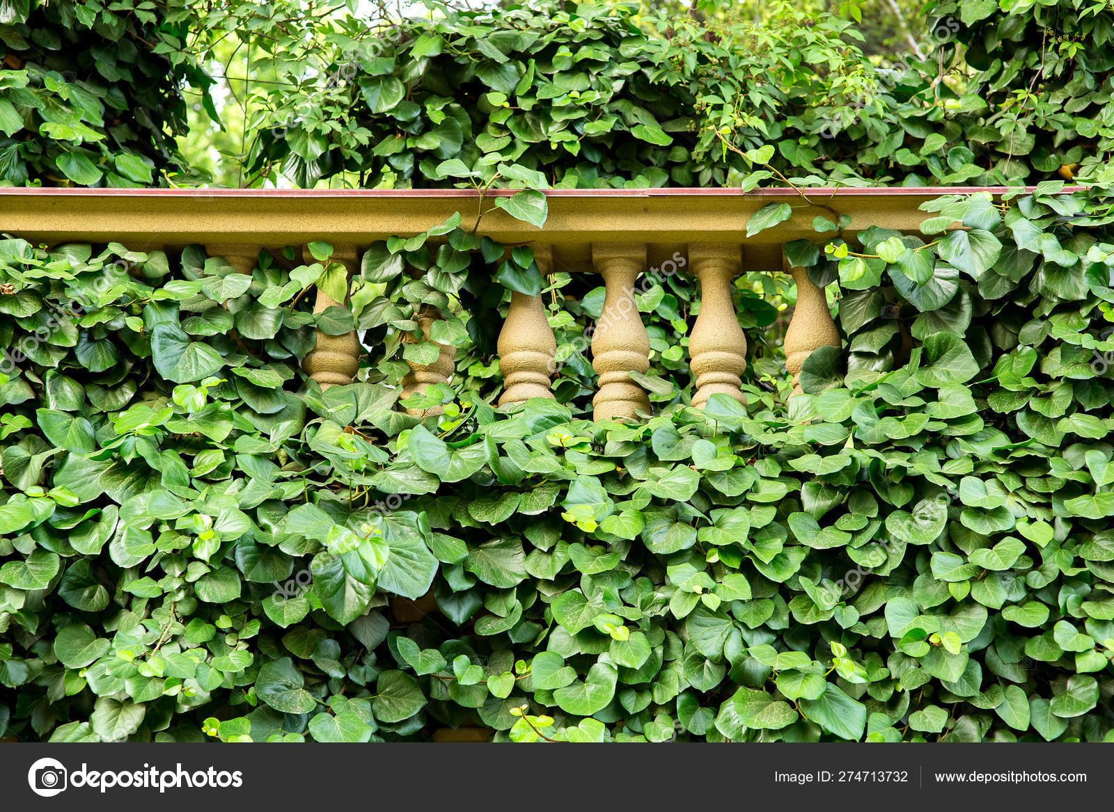Stone Balustrade Architecture Railing Overgrown Green Leafy Plants ...